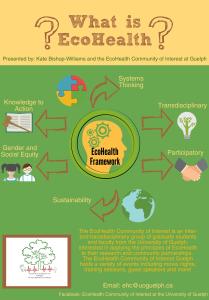 What is EcoHealth Infographic